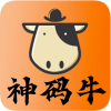 神码牛亲测源码
